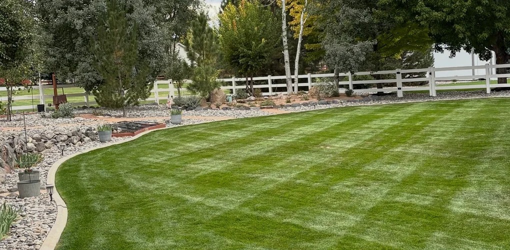 Manicured lawn with curved landscape bed