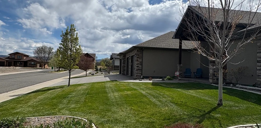 Front yard with fresh mowing stripes