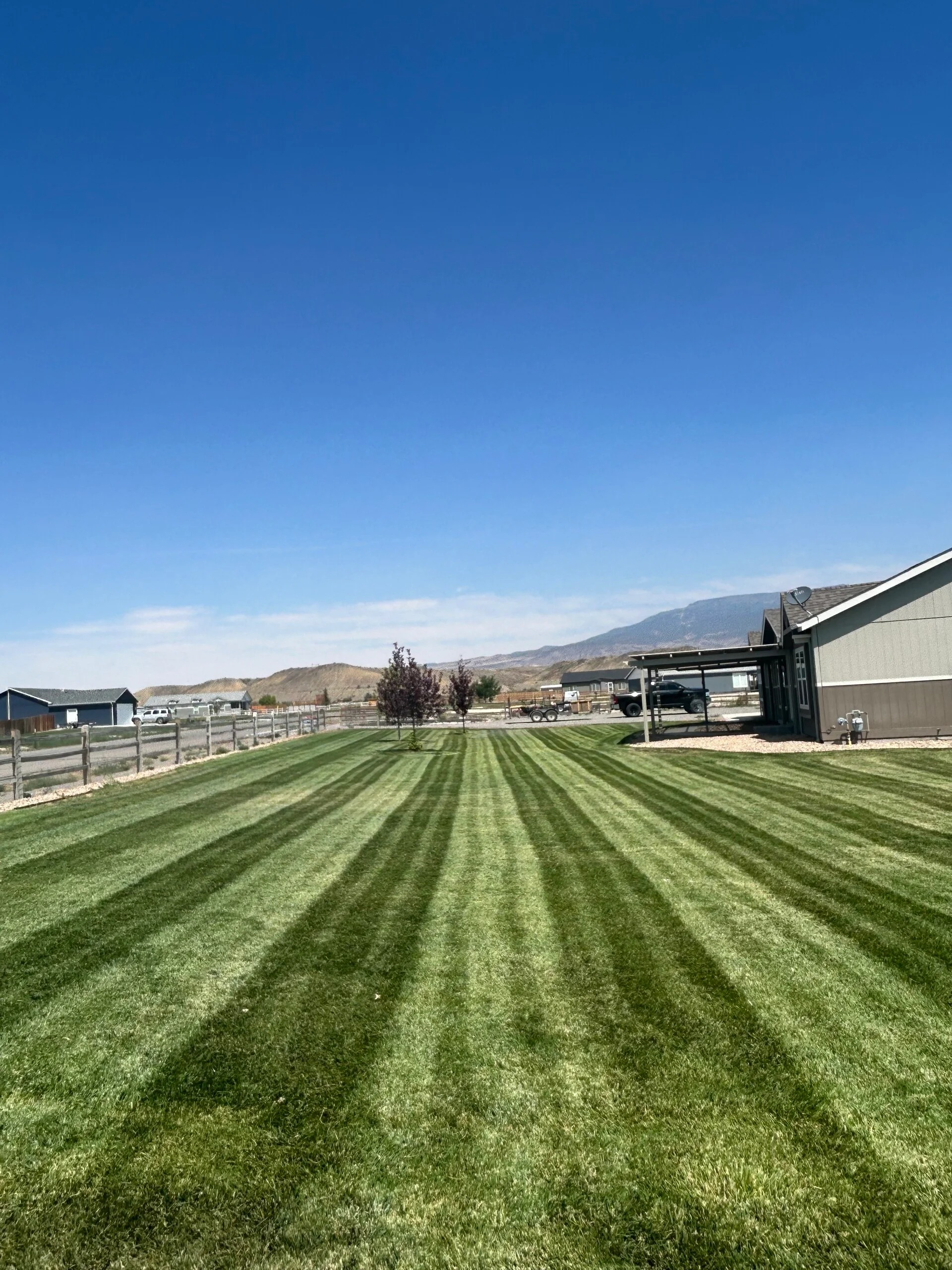 Freshly mowed lawn with crisp stripes, ProScape maintenance route